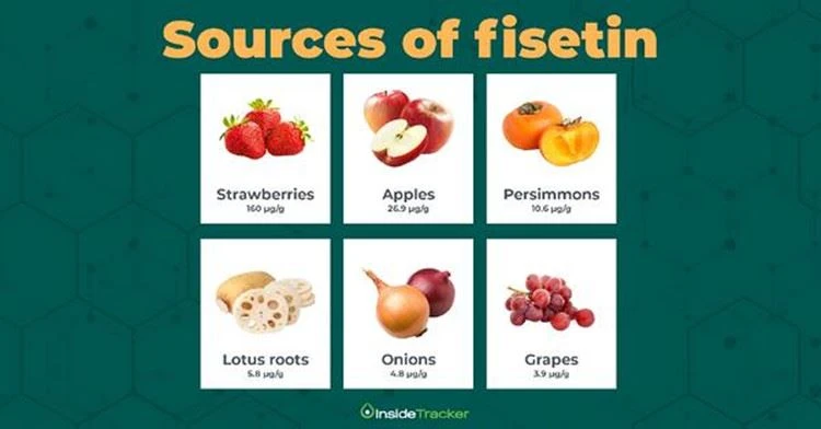 Source of Fisetin Source of Fisetin