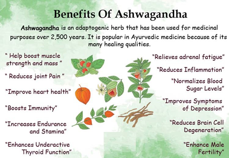 Ashwagandha Extract Benefits