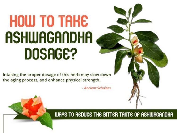 Ashwagandha Dosage Recommendations