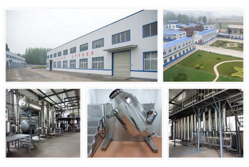 202209021436582745755d9908447eaad43eeb26928845_