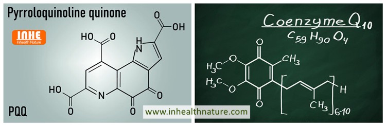 The Difference between PQQ and CoQ10
