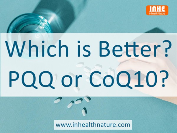 Which is Better PQQ or CoQ10