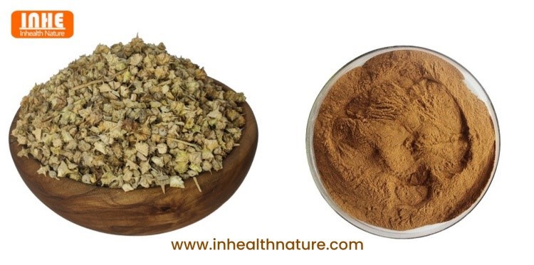 Tribulus Terrestris Fruit and Tribulus Terrestris Powder