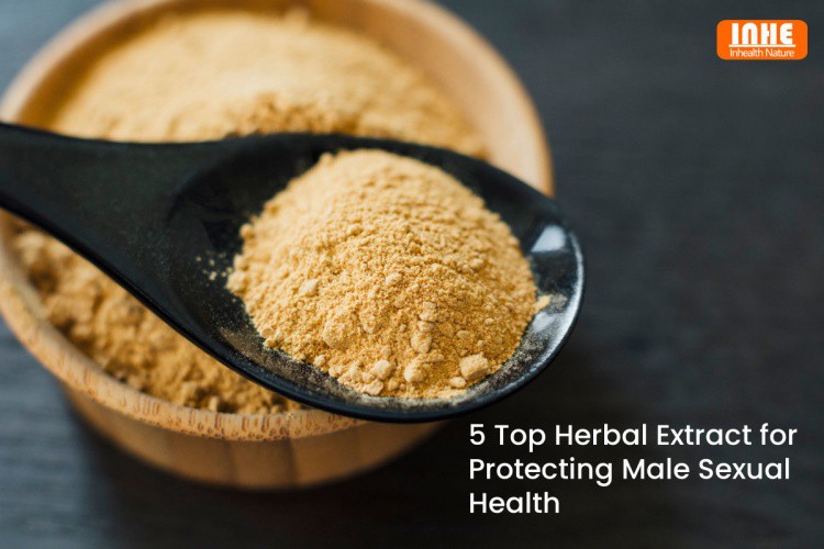 Top 5 Herbal Extracts for Protecting Male Sexual Health
