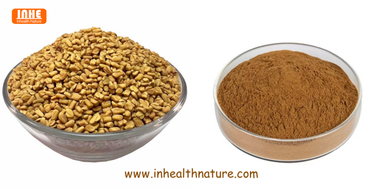 Fenugreek Seeds and Fenugreek Seed Powder