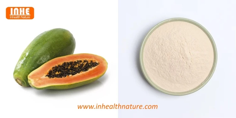 Papaya and Papain Enzyme Powder Papaya and Papain Enzyme Powder