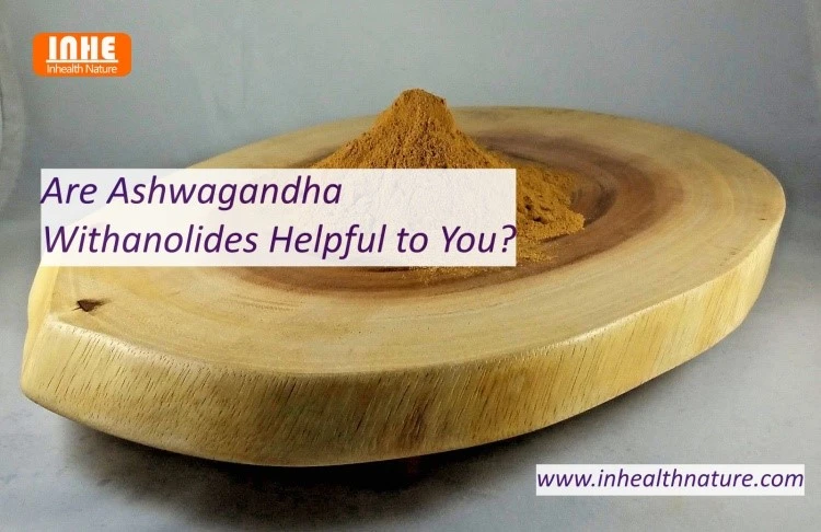 Are Ashwagandha Withanolides Helpful to You