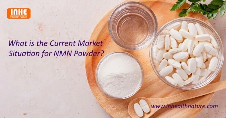 What is the Current Market Situation for NMN Powder